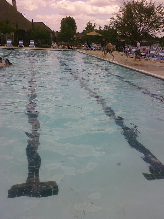 Neighborhood Swimming Pool